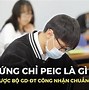 Cơ Sở Trường Học Tiếng Anh Là Gì