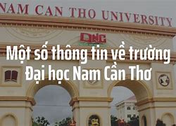 Học Phí Đại Học Nam Cần Thơ 1 Năm Bao Nhiêu Tiền Một Tháng