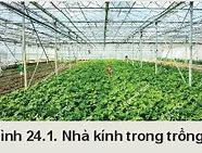 Một Số Công Nghệ Cao Trong Trồng Trọt