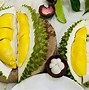 Sầu Riêng Musang King Mã Lai